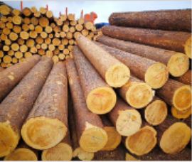 ����ľ�r(ji��)���Ƕ���һ����?