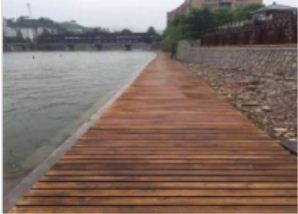 ����ľ�߂�ă�(y��u)�c����Щ