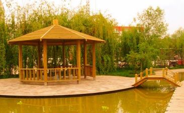 ����ľ��ͤ�xُ(g��u)����  ����