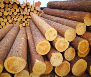 ����ľ�xُ(g��u)��Ҫע������(xi��ng)  ����