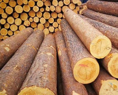 ��֪������ľ�ǲ��ǭh(hu��n)������������