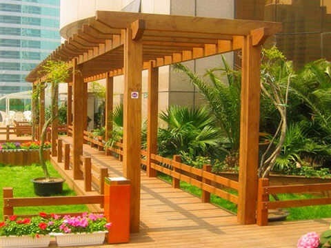 ����ľ�L��